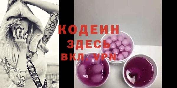 шишки Нея