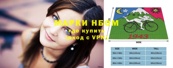 шишки Нея