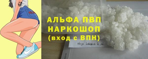крисы Новодвинск