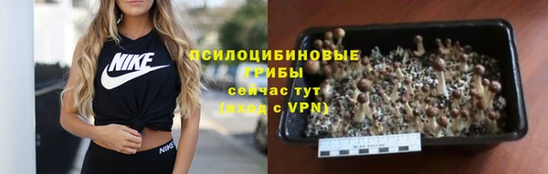 МДПВ Билибино