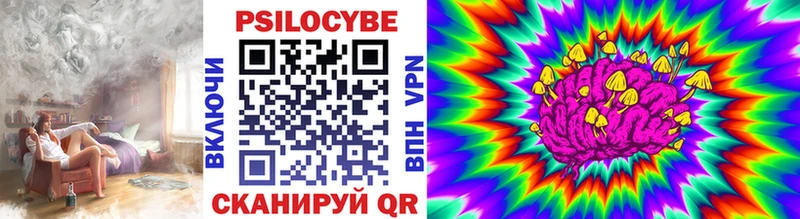 хочу наркоту Болхов Псилоцибиновые грибы Cubensis